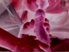 ANOTHER HOT FUCK AND SUCK VIDEO