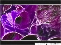 A 30 MNUTE LONG VERY HOT CARTOON VIDEO
