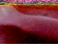 HOT HOMEMADE SEX TAPE IN PINK SCREEN