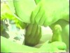 GREEN SCREEN HOT VIDEO