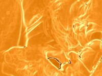 VERY HOT ORANGE SCREEN CARTOON VIDEO