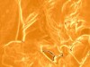VERY HOT ORANGE SCREEN CARTOON VIDEO