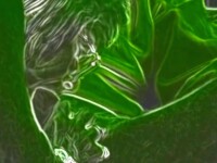 hot hot green screen video