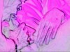 this is a very hot cock suck and fuck video