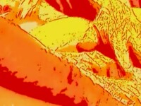 hot hot cartoon compilation