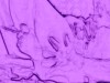 another pink screen video
