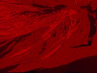hot hot red screen cock suck