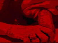 SH0RT RED SCREEN COCK SUCK