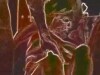 RED SCREEN HOT SEX VIDEO
