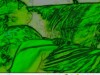 GREEN SCREEN HOT BLOW JOB