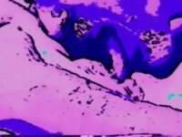 very hot pink screen sex video