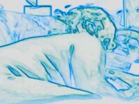 hot hot cartoon video