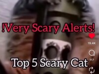 Peak vid