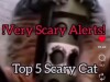 Peak vid