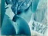 ANOTHER  HOT NEGITIVE SEX VIDEO