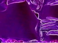hot cartoon video