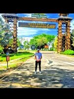 Chopper123@123's Avatar